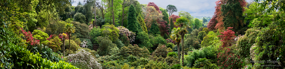 Trebah Garden 7