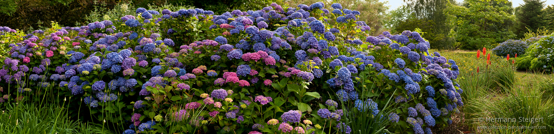 Wakehurst Place 11 Wakehurst Place 11