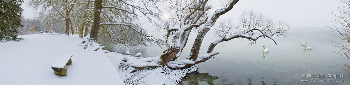 Winterstimmung am See