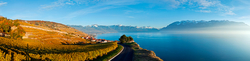 Blick auf den Genfersee und die Weinberge