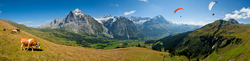 Blick vom First auf Grindelwald