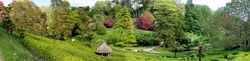 Glendurgan Garden 3