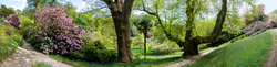 Glendurgan Garden 4