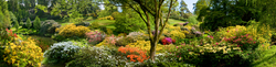 Leonardslee Gardens 6