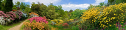 Leonardslee Gardens