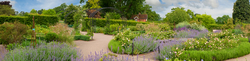 RHS Garden,Wisley 15