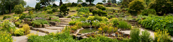 RHS Garden,Wisley 8