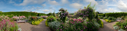 Rosemoor Garden 1